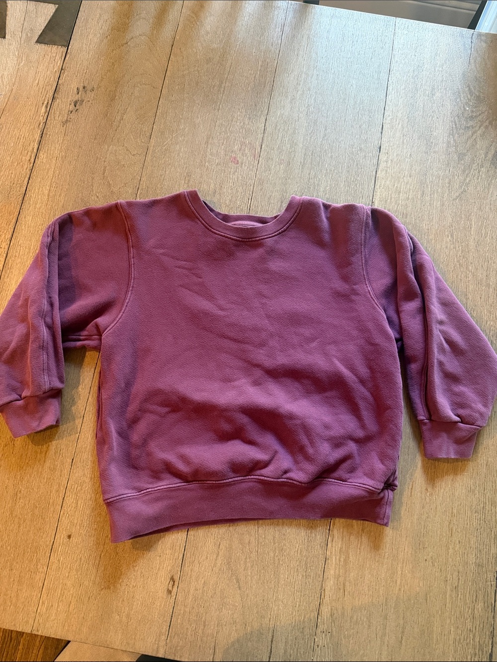 Sundry Pullover Sweatshirt in Purple